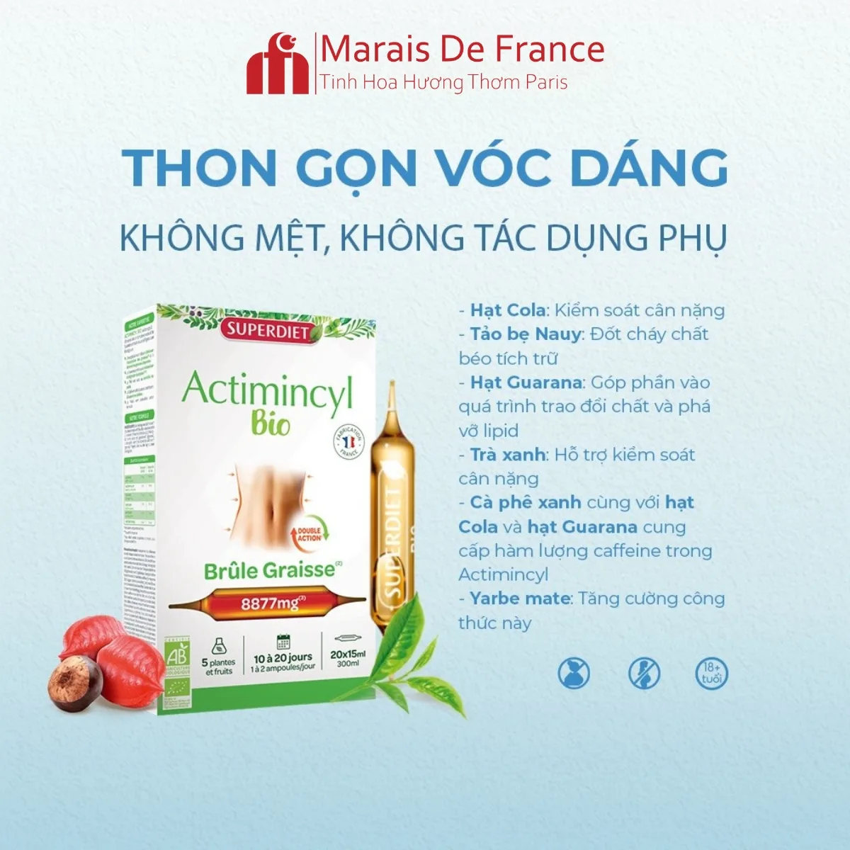 Thành Phần Superdiet Actimincyl Bio 20 ống