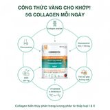 thanh-phan-granions-chondrosteo-joints-marine-collagen-dang-bot