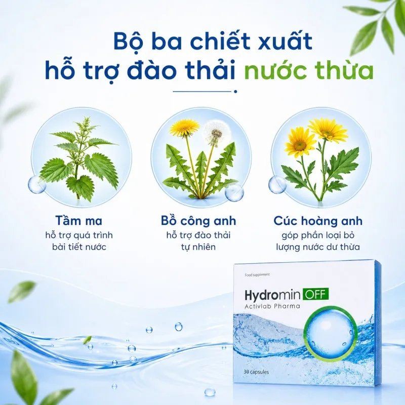 Tầm ma bồ công anh và cúc hoàng anh trong Hydromin OFF