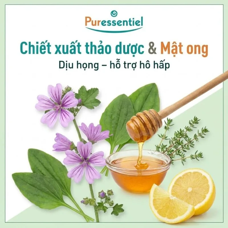 Thành Phần Siro ho trẻ em Puressentiel Respiratory Cough Syrup