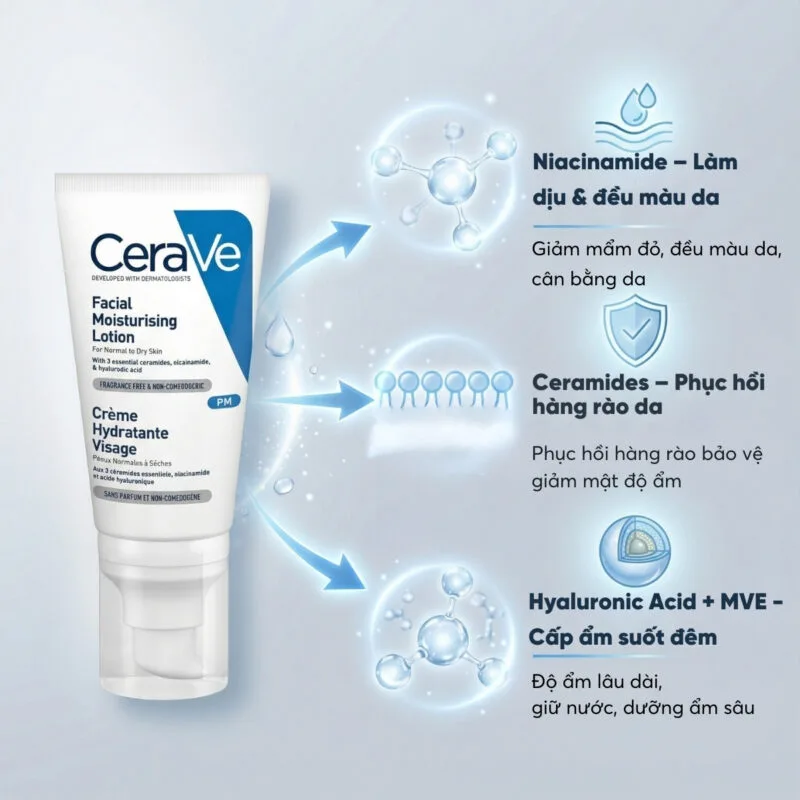 Thành Phần CeraVe Facial Moisturizing Lotion ban đêm