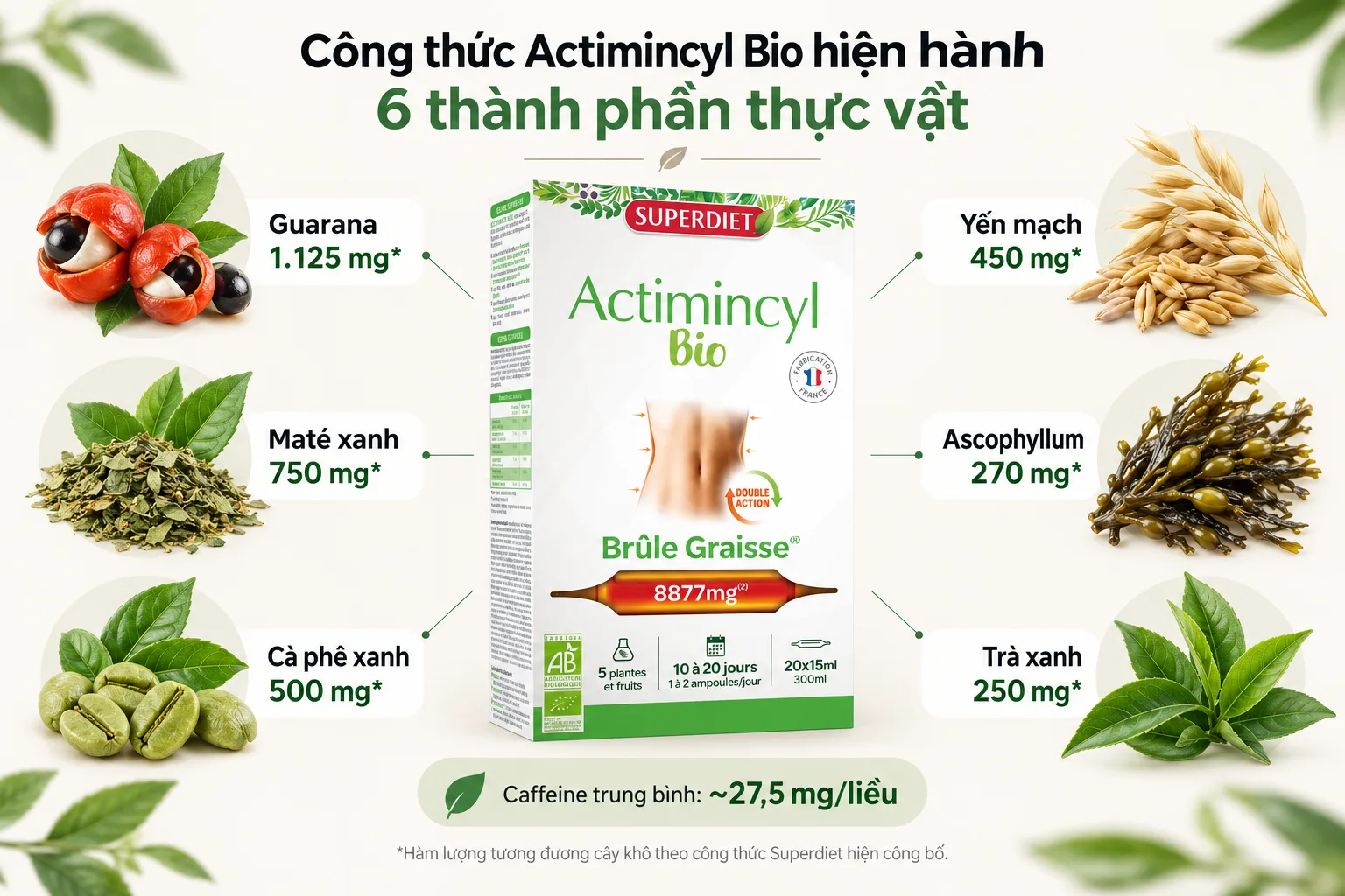 Thành phần Superdiet Actimincyl Bio gồm guarana, maté, cà phê xanh, yến mạch, Ascophyllum và trà xanh