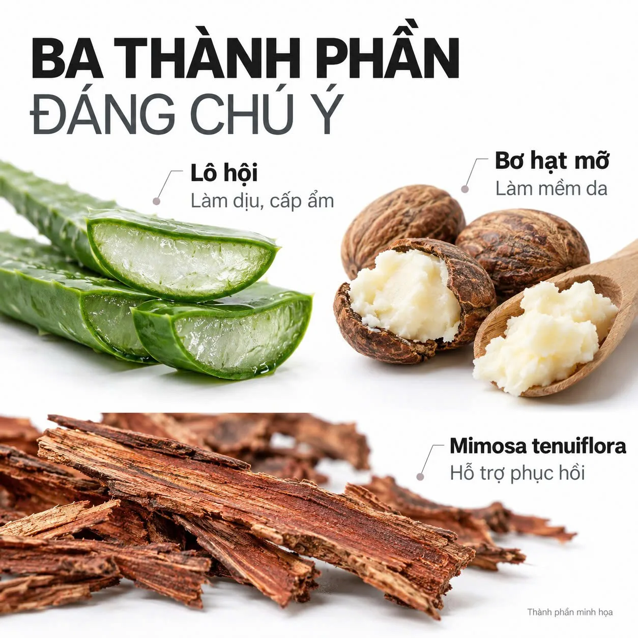 Thành phần nha đam, collagen và bơ hạt mỡ trong Toskani Total Recovery Gel