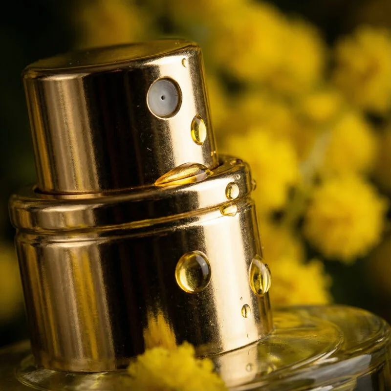 Thiết kế chai Première Note Mimosa Austral