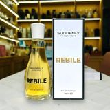 thiet-ke-suddenly-rebile