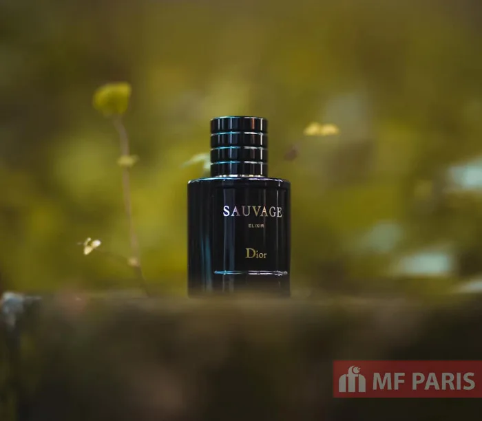 Thời Điểm Sử Dụng Nước Hoa Dior Sauvage Elixir