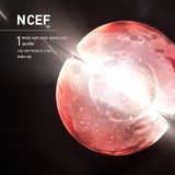 Tinh Chất Dưỡng Ẩm Filorga NCEF-Essence