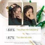 Tinh Chất Mọc Tóc Rene Furterer Paris Triphasic Reactional