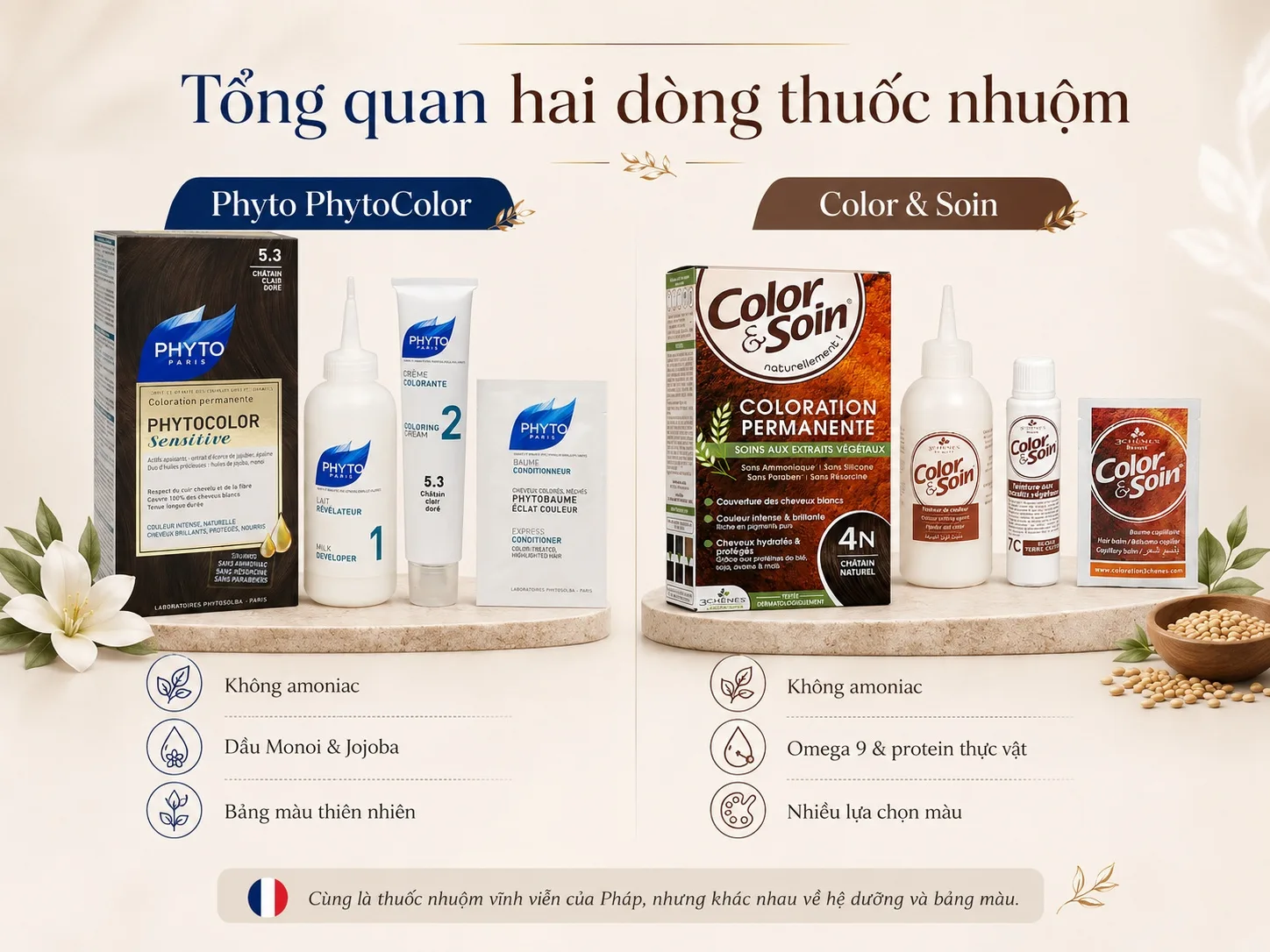 Tổng quan đặc điểm thuốc nhuộm Phyto và Color & Soin