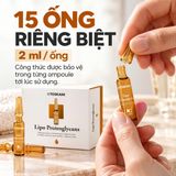 Quy cách hộp 15 ống tinh chất Toskani Lipo Proteoglycans 2ml
