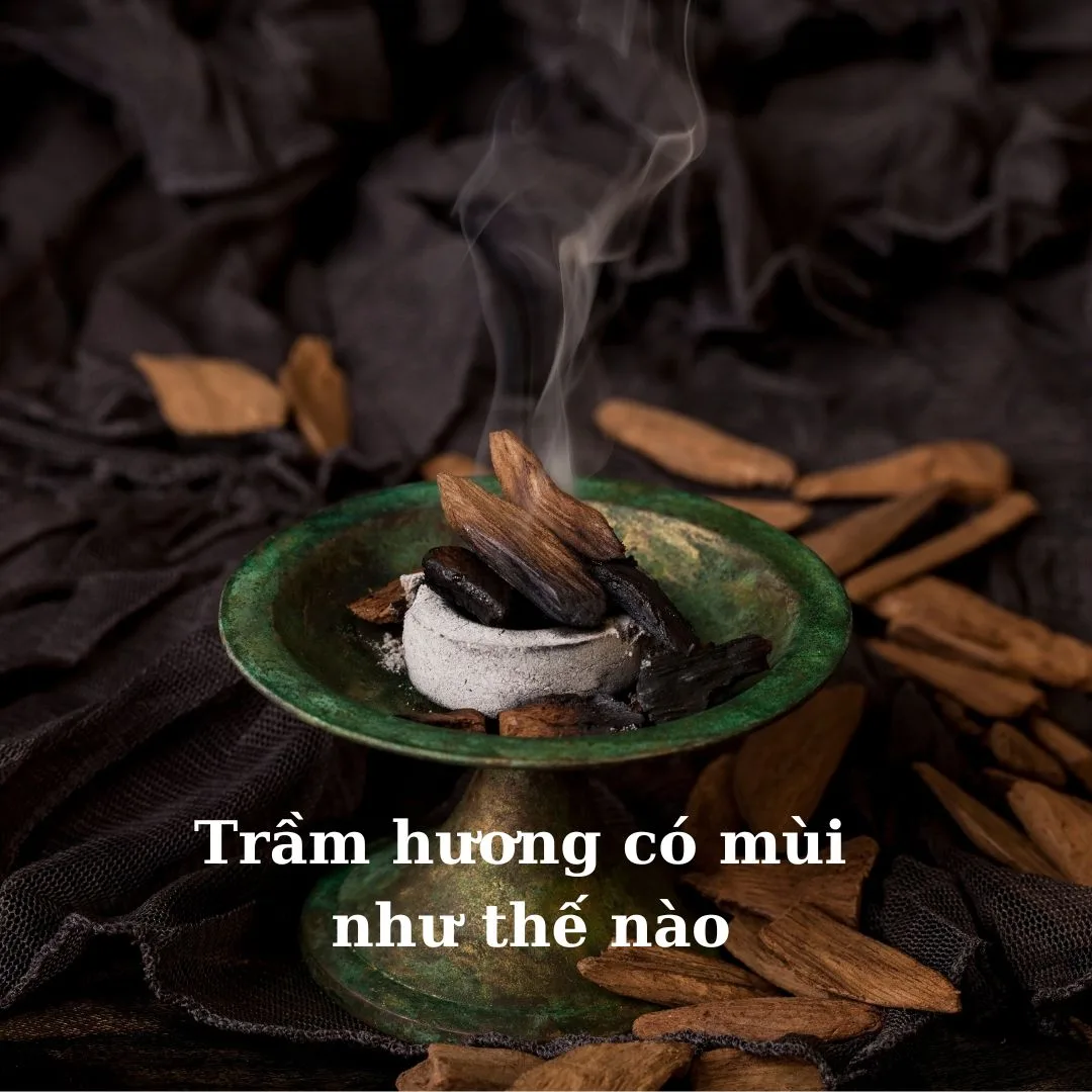 Trầm hương có mùi như thế nào