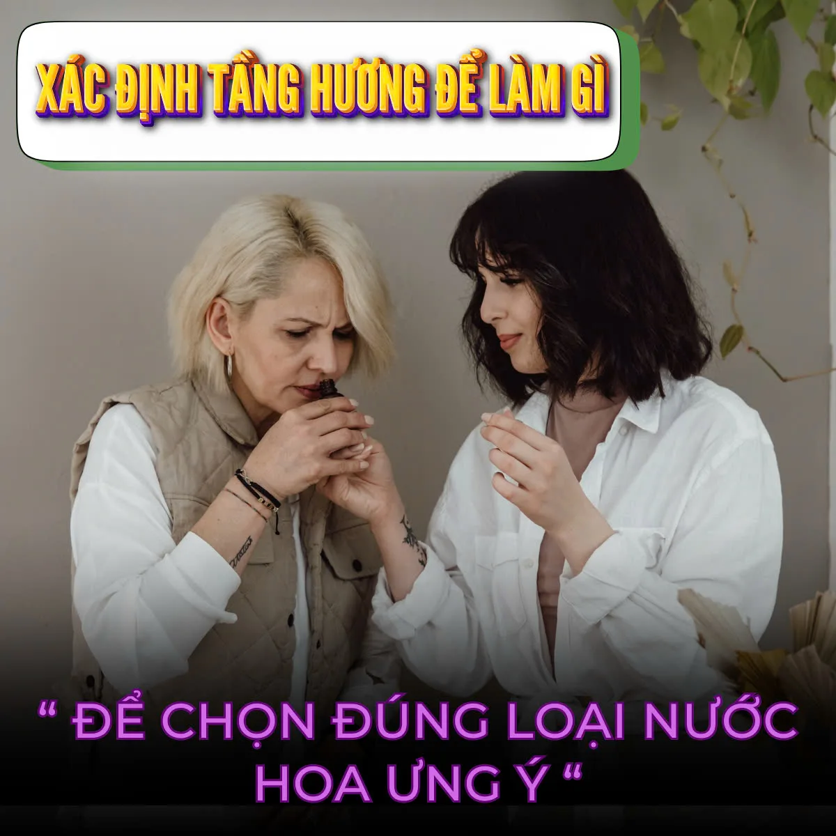 vai trò của tầng hương nước hoa