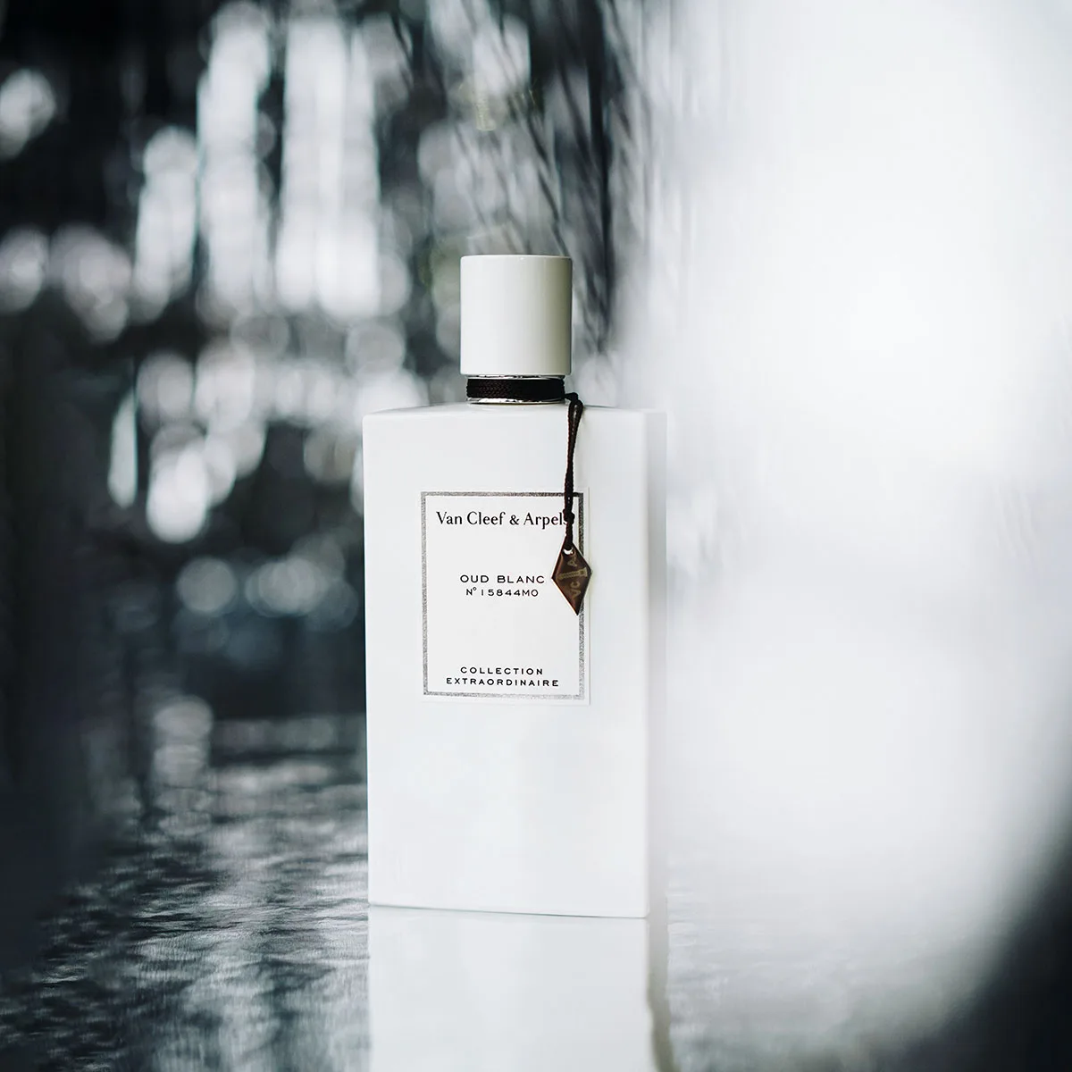Nước hoa Van Cleef & Arpels Oud Blanc