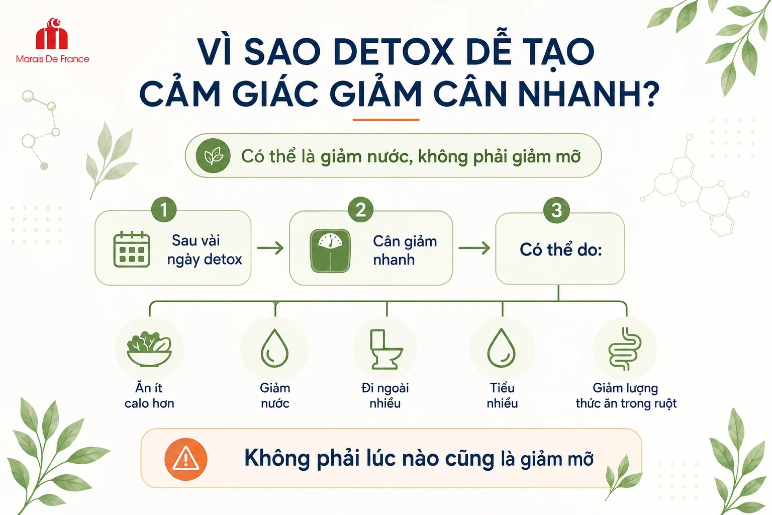 Vì sao detox dễ tạo cảm giác giảm cân nhanh
