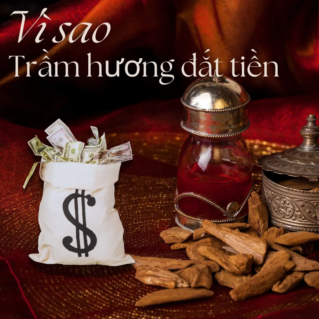 Vì sao trầm hương đắt tiền