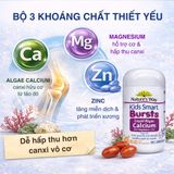 Viên Nhai Canxi Tảo Biển Nature's Way Kids Smart Thành Phần