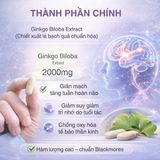 Viên Uống Bổ Não Blackmores Ginkgoforte 2000mg Hỗ Trợ Tăng Cường Trí Nhớ Thành Phần