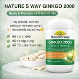 Viên Uống Bổ Não Nature's Way High Strength Ginkgo Biloba 2000mg Công Dụng