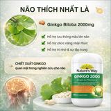 Viên Uống Bổ Não Nature's Way High Strength Ginkgo Biloba 2000mg Lợi Ích