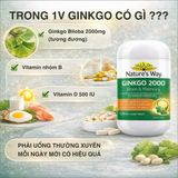 Viên Uống Bổ Não Nature's Way High Strength Ginkgo Biloba 2000mg Thành Phần