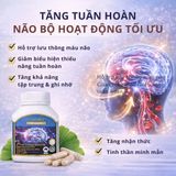 Viên Uống Bổ Não Và Tim Mạch Vitatree Ginkgo Plus 6000 with Q10 50mg Công Dụng