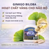 Viên Uống Bổ Não Và Tim Mạch Vitatree Ginkgo Plus 6000 with Q10 50mg Thành Phần