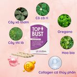 Thành phần Viên uống cải thiện vòng một Labophyto Top Bust