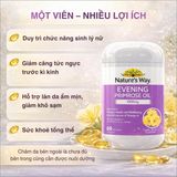 Viên Uống Cân Bằng Nội Tiết Tố Nữ Nature's Way Evening Primrose Oil 1000mg Lợi Ích