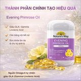 Viên Uống Cân Bằng Nội Tiết Tố Nữ Nature's Way Evening Primrose Oil 1000mg Thành Phần