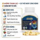 Viên Uống Giảm Mỡ Nội Tạng Vitatree Organ Fat Detox Hỗ Trợ Giải Độc Gan Cách Dùng