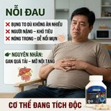Viên Uống Giảm Mỡ Nội Tạng Vitatree Organ Fat Detox Hỗ Trợ Giải Độc Gan Nguyên Nhân