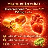Viên Uống Hỗ Trợ Tim Mạch Blackmores CoQ10 150mg Bảo Vệ Sức Khỏe Cơ Tim Thành Phần