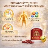 Viên Uống Tăng Cường Sinh Lực Nam Vitatree Essence of Kangaroo 40000 Max Thành Phần