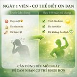Viên Uống Vitamin Tổng Hợp Nature's Way Complete Daily Multivitamin Lợi Ích