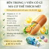 Viên Uống Vitamin Tổng Hợp Nature's Way Complete Daily Multivitamin Thành Phần