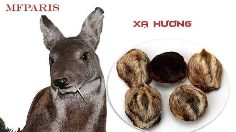 nguyen-lieu-xa-huong-trong-nuoc-hoa