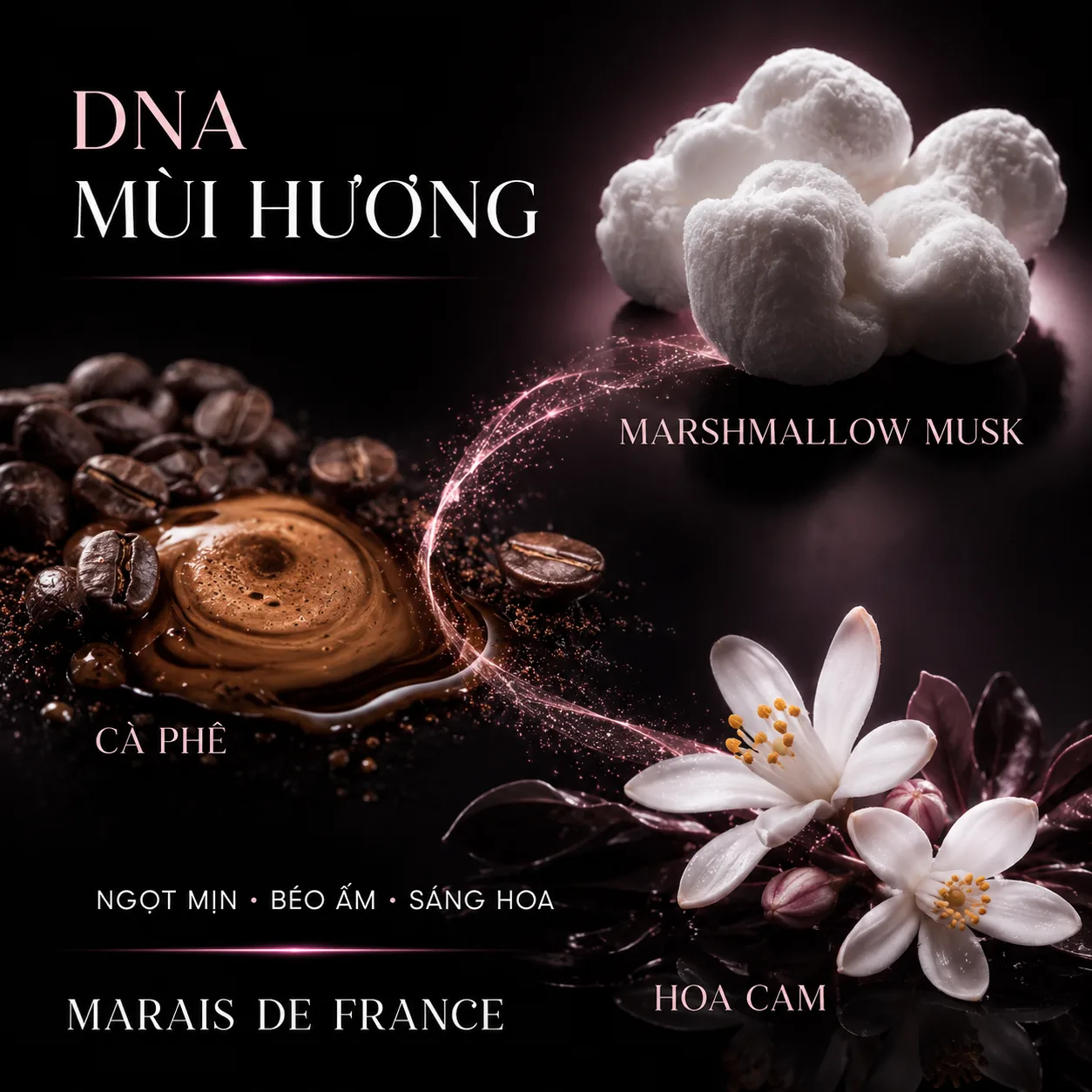 Marshmallow musk, cà phê và hoa cam trong YSL Black Opium Glitter