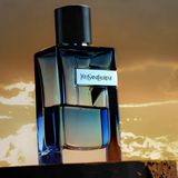YSL Y LIVE Eau de Toilette Intense