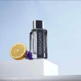 Nước hoa nam Salvatore Ferragamo Ferragamo Pour Homme EDT 100ml