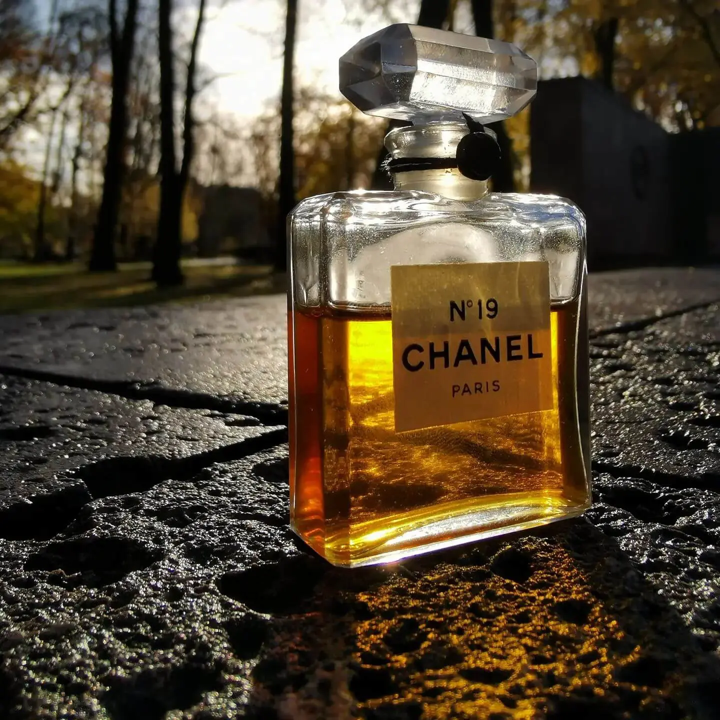 Nước Hoa Chanel No19 Poudre Eau De Parfum Cho Nữ  Theperfumevn