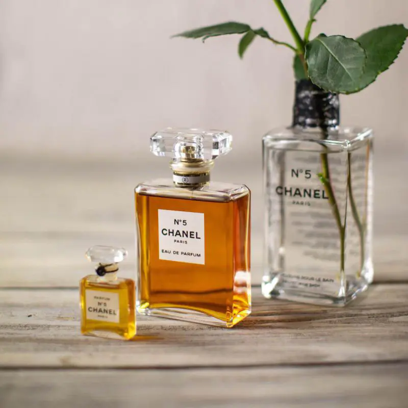 Review nước hoa Chanel Chance mùi nào thơm nhất TUNG SHOP