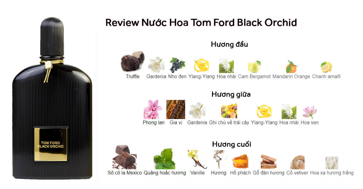 Review Nước Hoa Tom Ford Black Orchid Đẳng Cấp Quyến Rủ