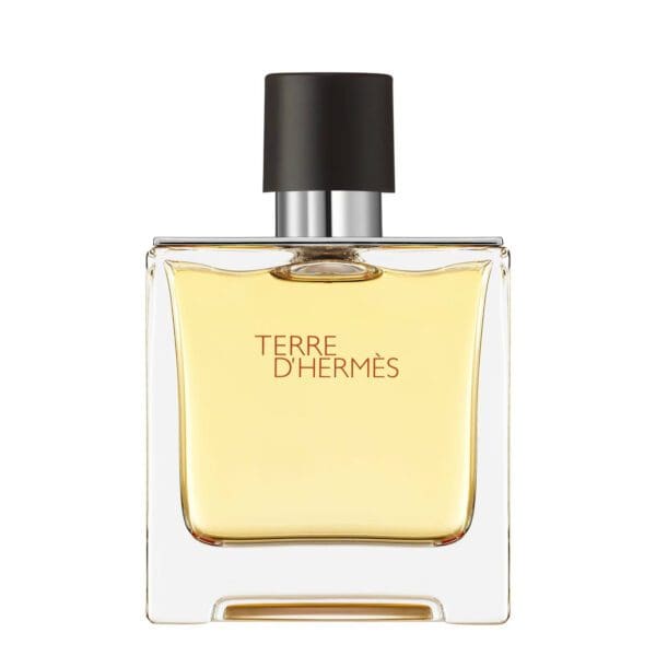 Nước Hoa Nam Hermes Terre Dhermes Parfum
