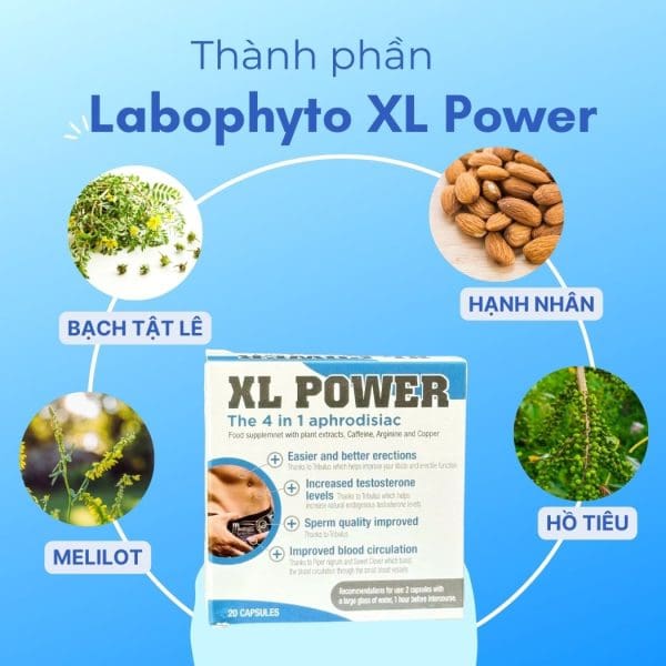 Thành phần Labophyto XL Power 4 In 1