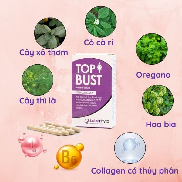 Viên uống cải thiện vòng một Labophyto Top Bust